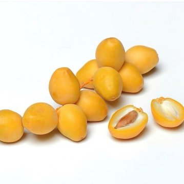 Fresh Yellow Barhi Dates - Now Taking Preorders!